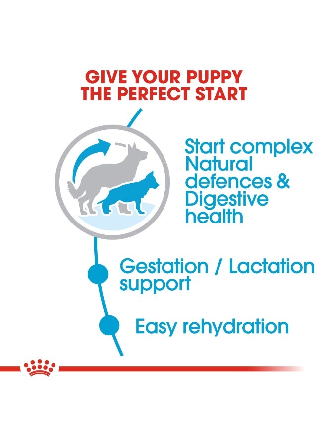 رويال كانين ماكسي ستارتر طعام جاف للأم والجرو - 4 كجم لدعم السلالات الكبيرة - Image 4